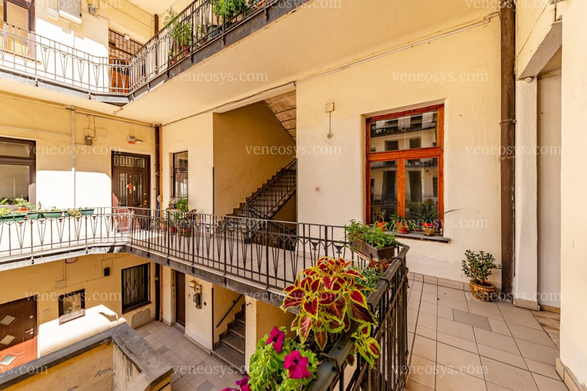 Oaza zieleni w I. dzielnicy Budapesztu