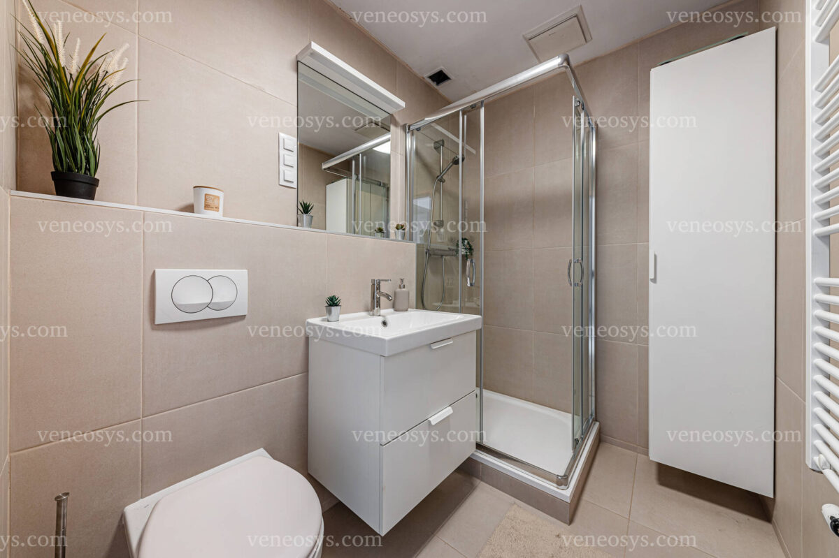 Dzielnica Corvina, VIII. dzielnica Budapesztu