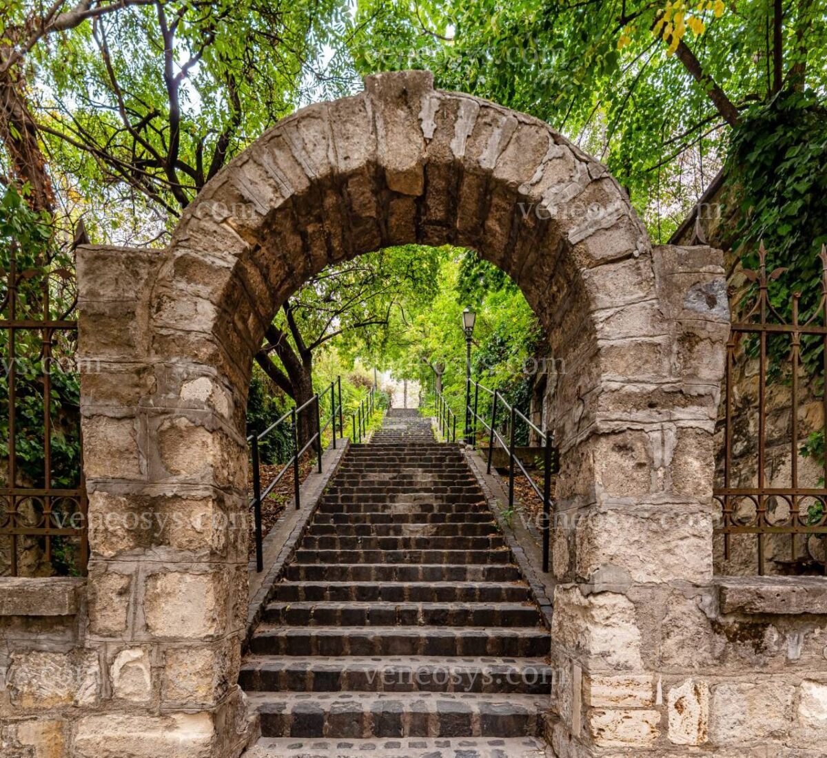 Oaza zieleni w I. dzielnicy Budapesztu