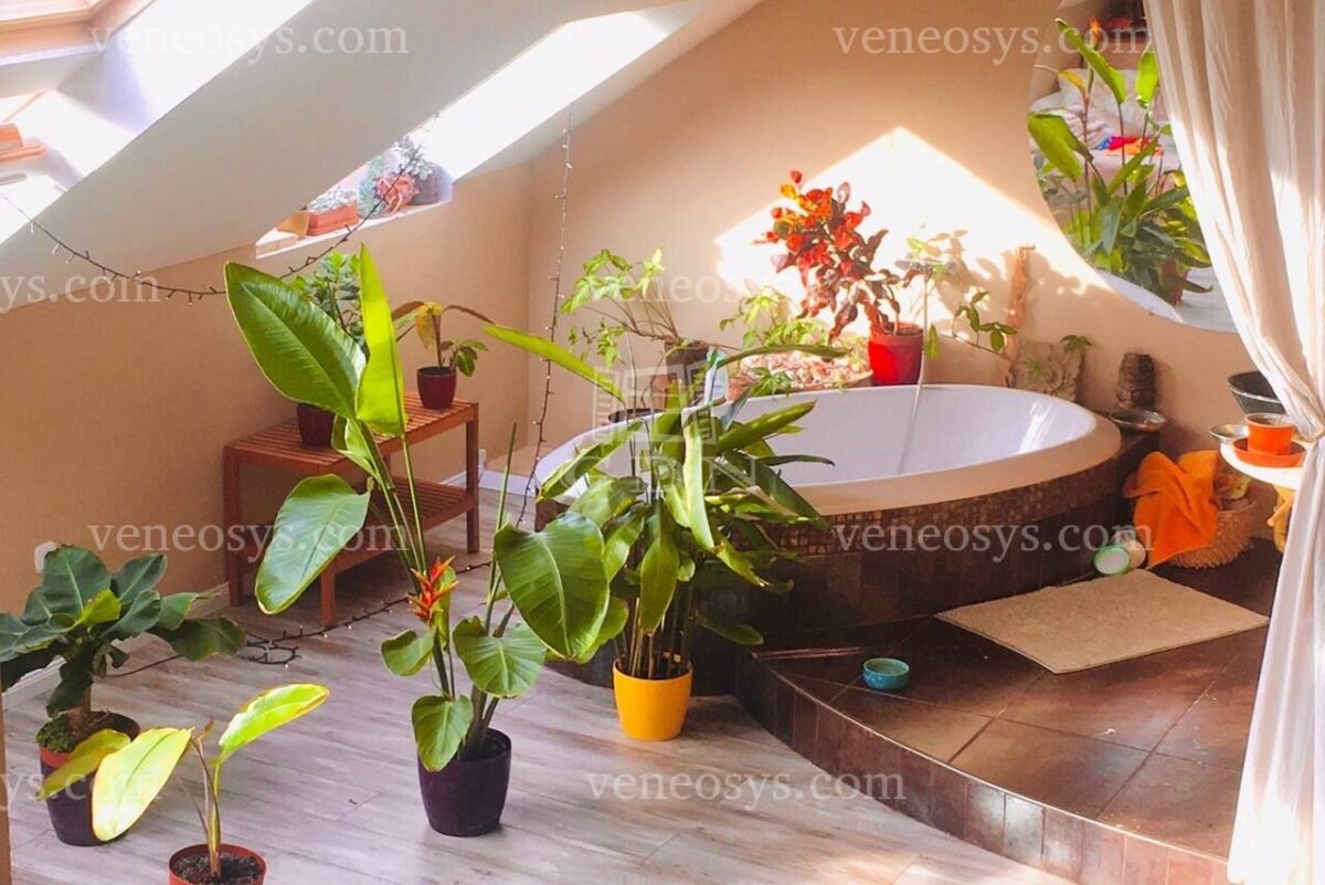 Loft na poddaszu, XV. dzielnica Budapesztu