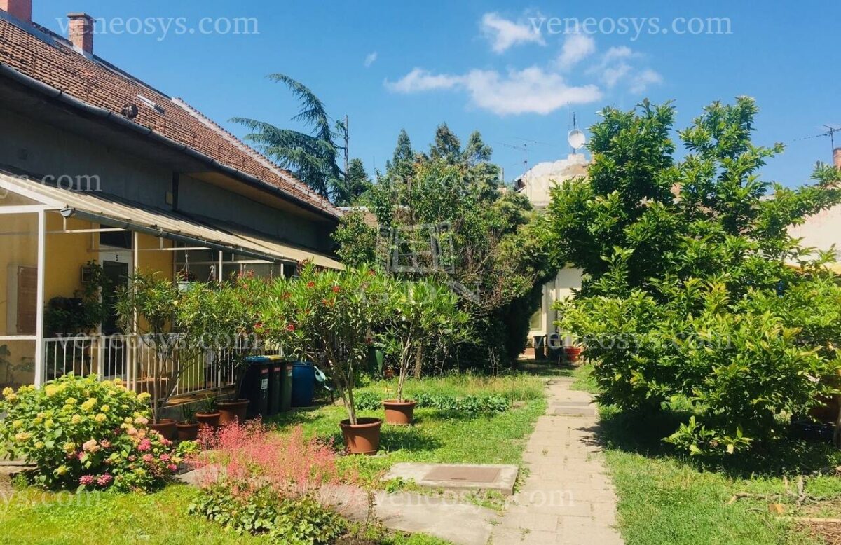 Loft na poddaszu, XV. dzielnica Budapesztu