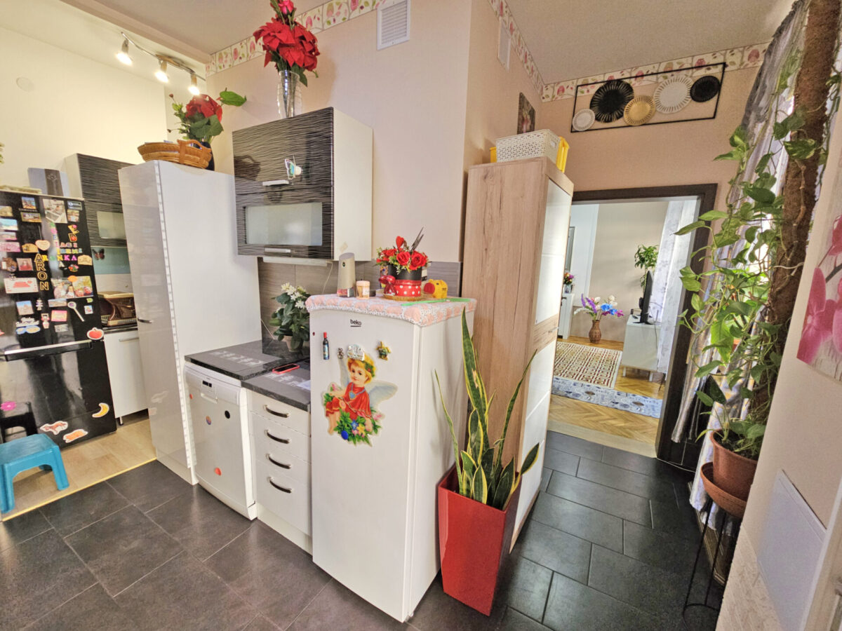 Koło Uniwersytetu Medycznego w IX. dzielnicy Budapesztu