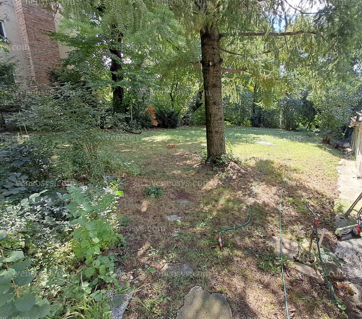 Perełka w XI. dzielnicy Budapesztu