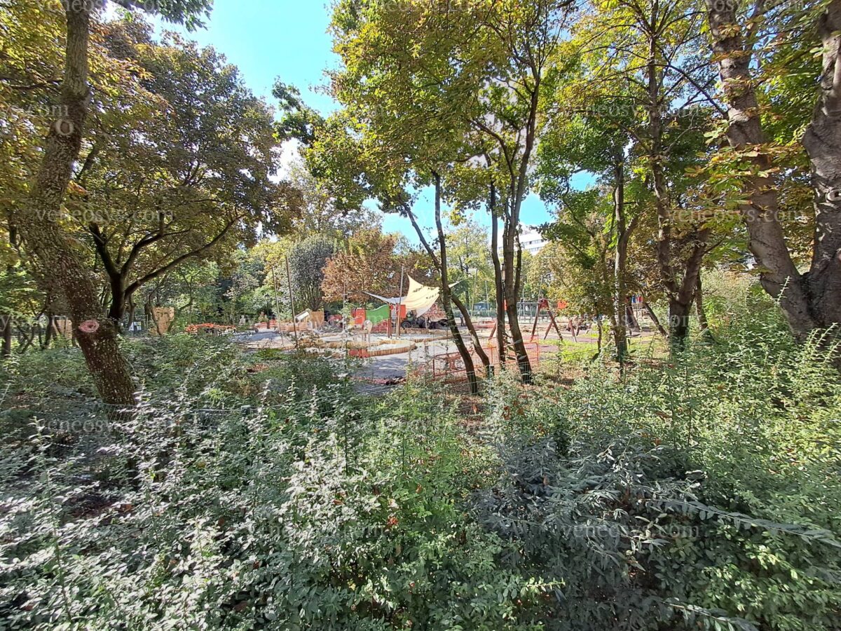 Perełka w XI. dzielnicy Budapesztu