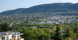 Tarhos utca w III. dzielnicy Budapesztu