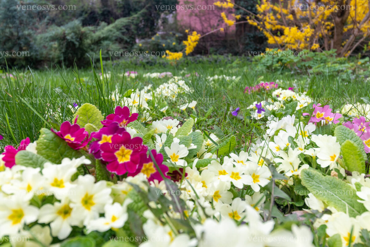 Przytulna kawalerka w II. dzielnicy Budapesztu