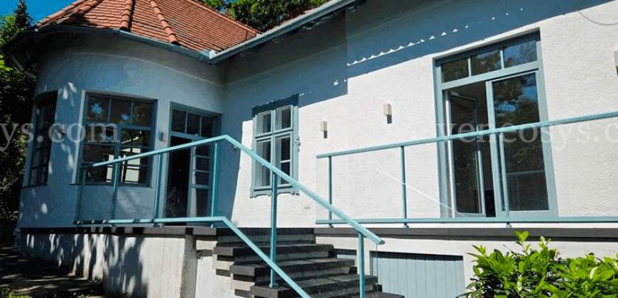 W pięknej willi w XII. dzielnicy Budapesztu