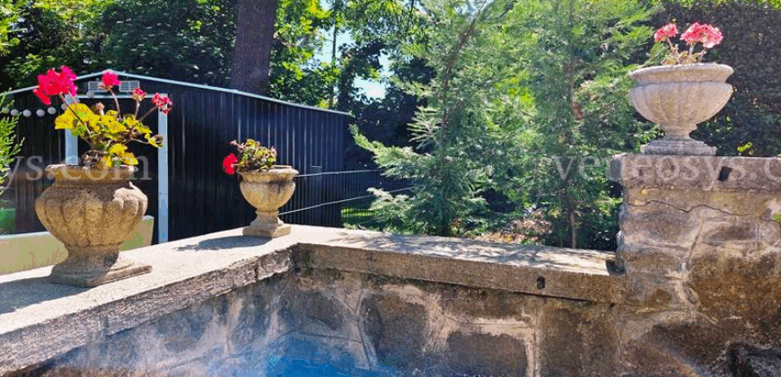 W pięknej willi w XII. dzielnicy Budapesztu