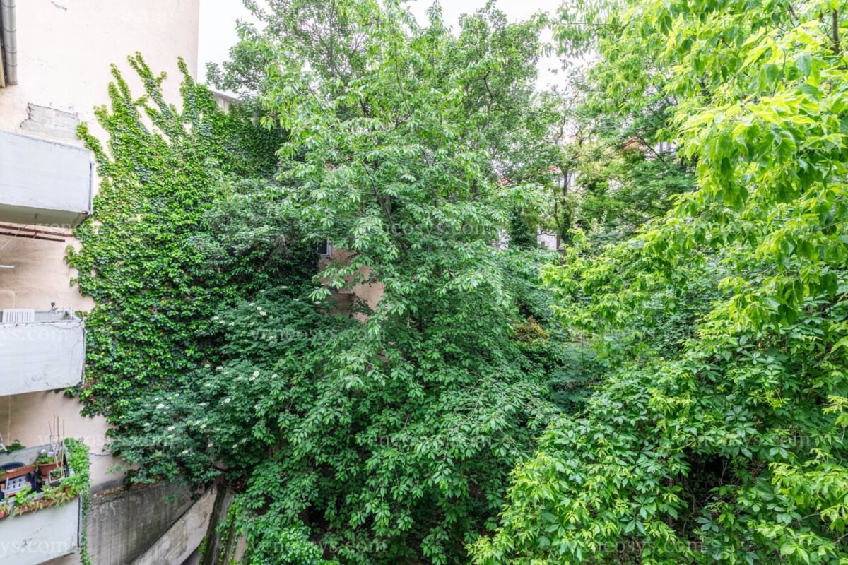 Rodzinne mieszkanie w I. dzielnicy Budapesztu